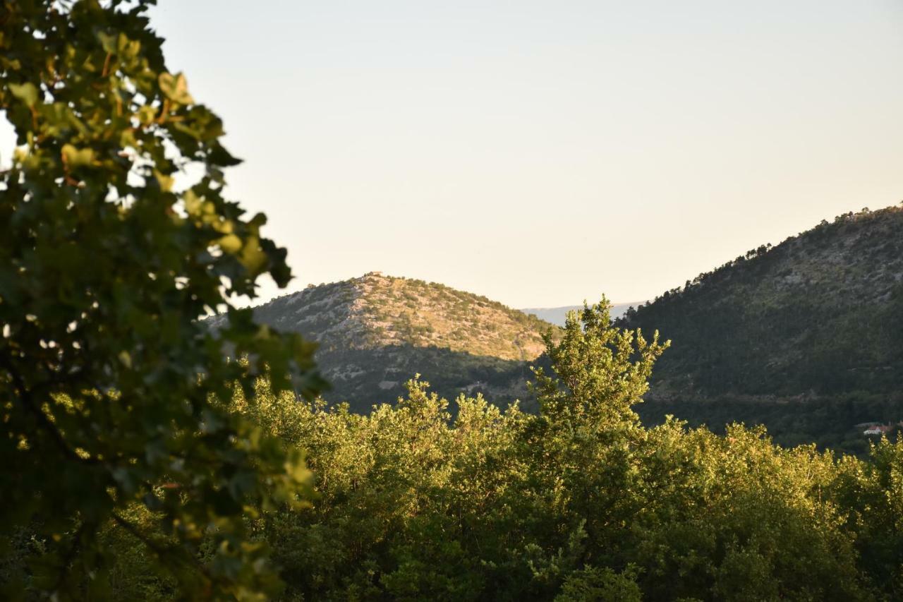 Vacation Home Vesna Bribir  Esterno foto